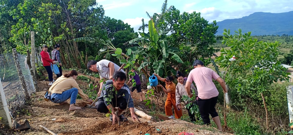 Phong trào trồng cây xanh của trường Mầm Non Sao Mai Năm học 2019- 2020