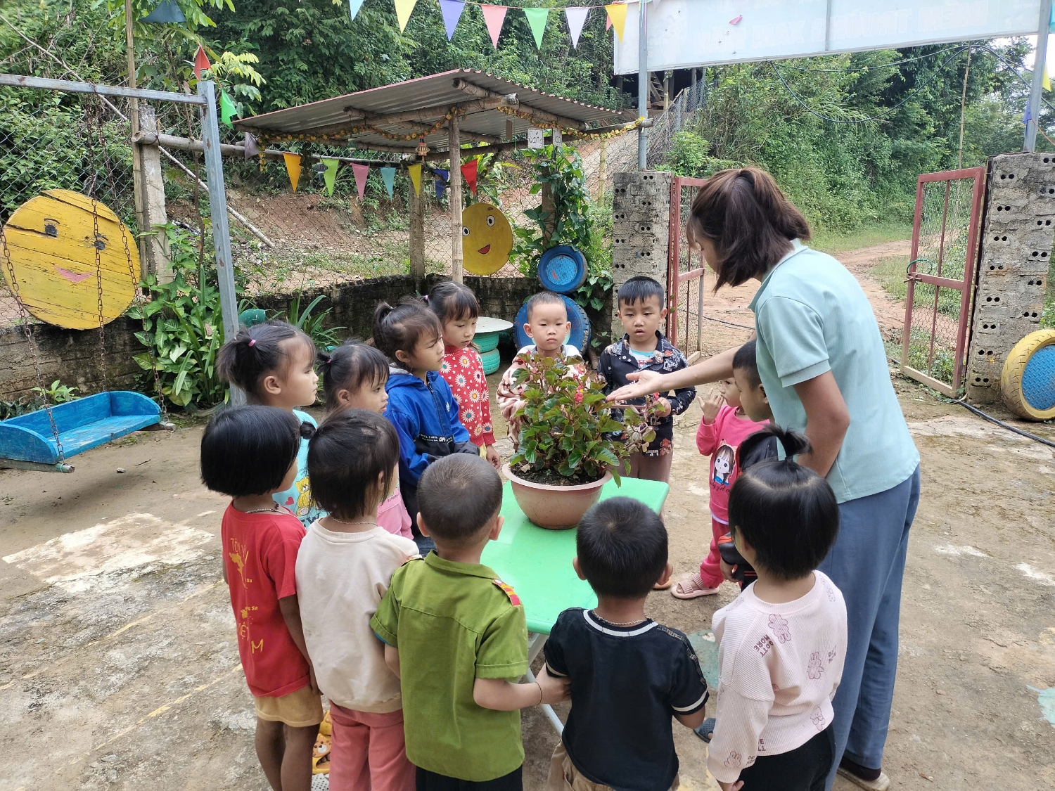 Các cháu đang quan sát cây hoa thu hải đường